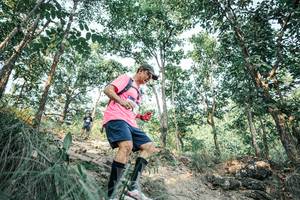 BIB: 
                            <button type="button" onclick="openModal(25982026)" class="btn btn-primary btn-sm float-right btn-popup" data-toggle="modal" data-target=".modal-high-quality">
                        <i class="fas fa-shopping-cart"></i> Add to Cart
                    </button>
                                            <button type="button" onclick="isThisMe(25982026, true)" class="btn btn-success btn-sm float-right btn-popup btn-isme hidden" data-toggle="tooltip" data-placement="bottom" title="นี่คือรูปของคุณใช่ไหม คลิกที่นี่เพื่อเอาเข้าอัลบั้ม">
                        <i class="fas fa-plus"></i> Add to album
                    </button>
                    <button type="button" onclick="isThisMe(25982026, false)" class="btn btn-warning btn-sm float-right btn-popup btn-isnotme hidden">
                        <i class="fas fa-ban"></i> Remove from album
                    </button>